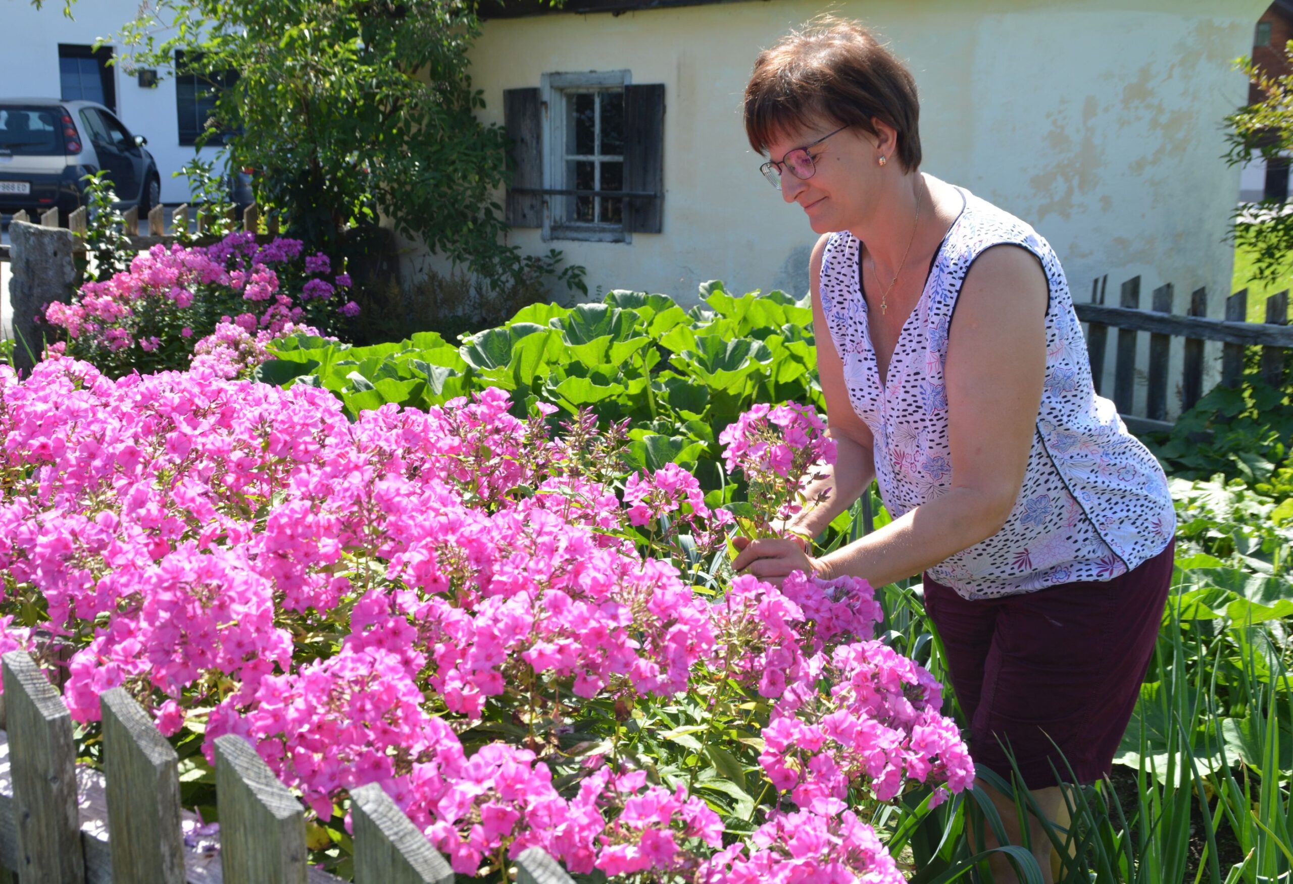 Weihbuschen Bäuerinnen_Maria Himmelfahrt 2023_Christine Gruber schneidet Blumen im Bauerngarten_web