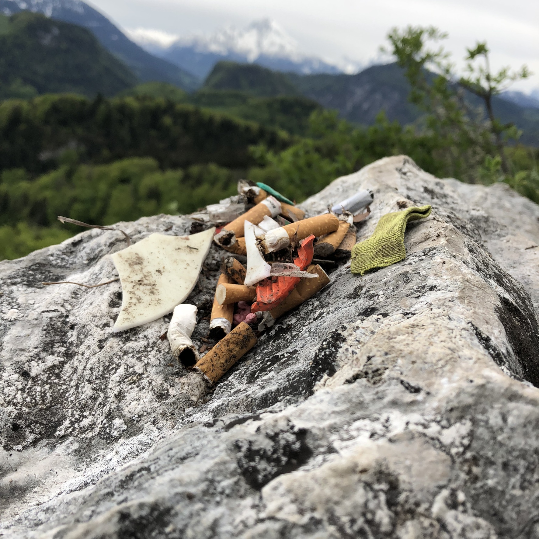 Zigarettenstummel-Müll_Bergschule-Wandererlebnis